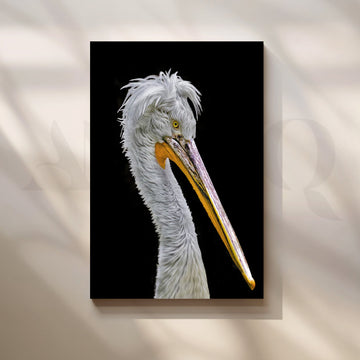 Regal Pelican Profile Canvas Painting for Office or Study – Asha Art Studio