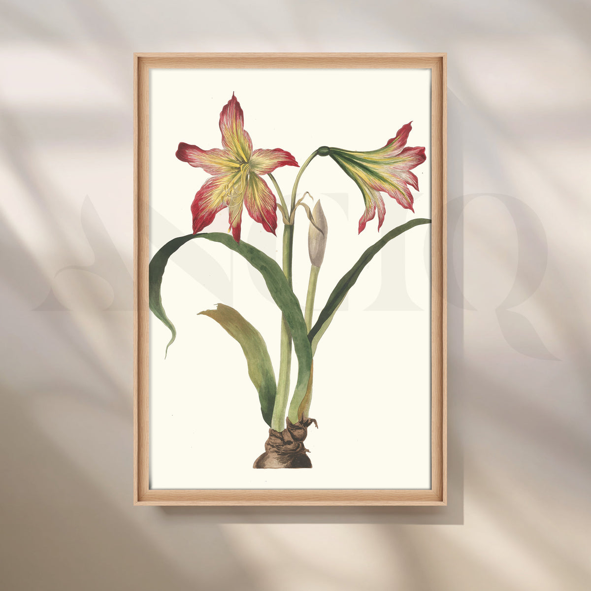 Amaryllis Botanica Canvas Artwork – Asha Art Studio – Image 5
