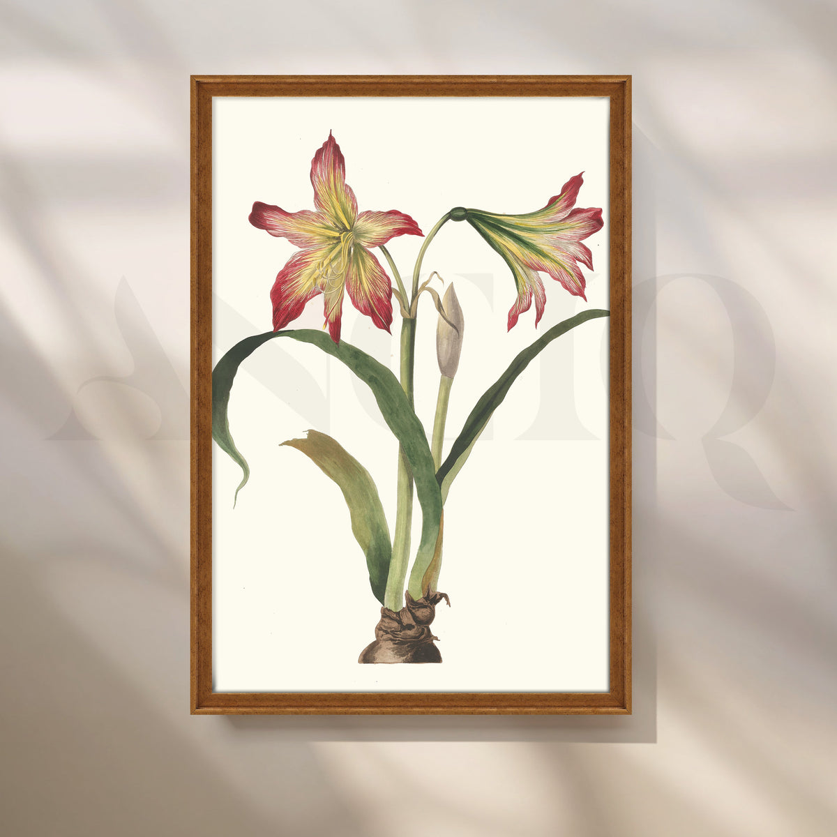 Amaryllis Botanica Canvas Artwork – Asha Art Studio – Image 6