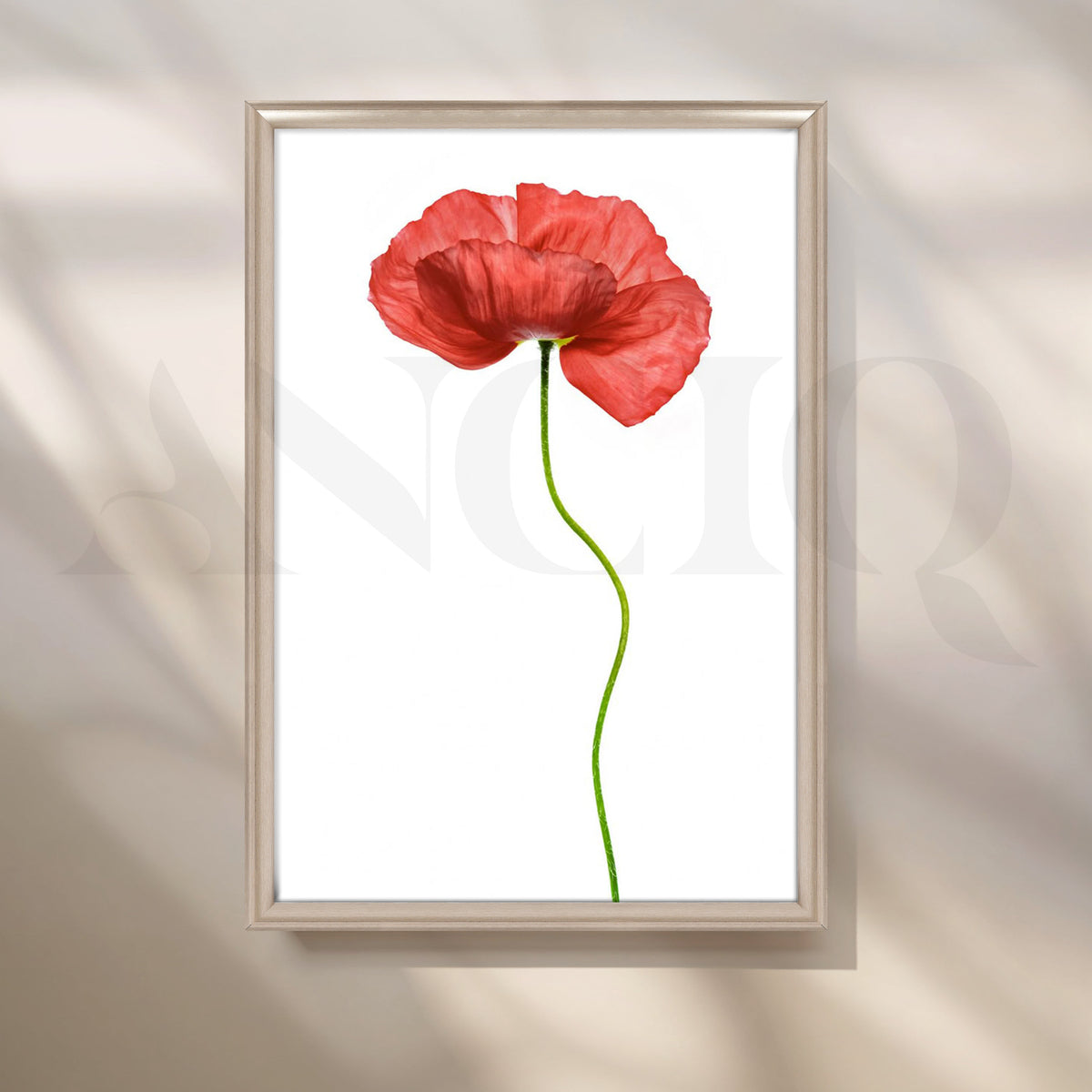 Scarlet Whisper Canvas Artwork – Asha Art Studio – Image 4