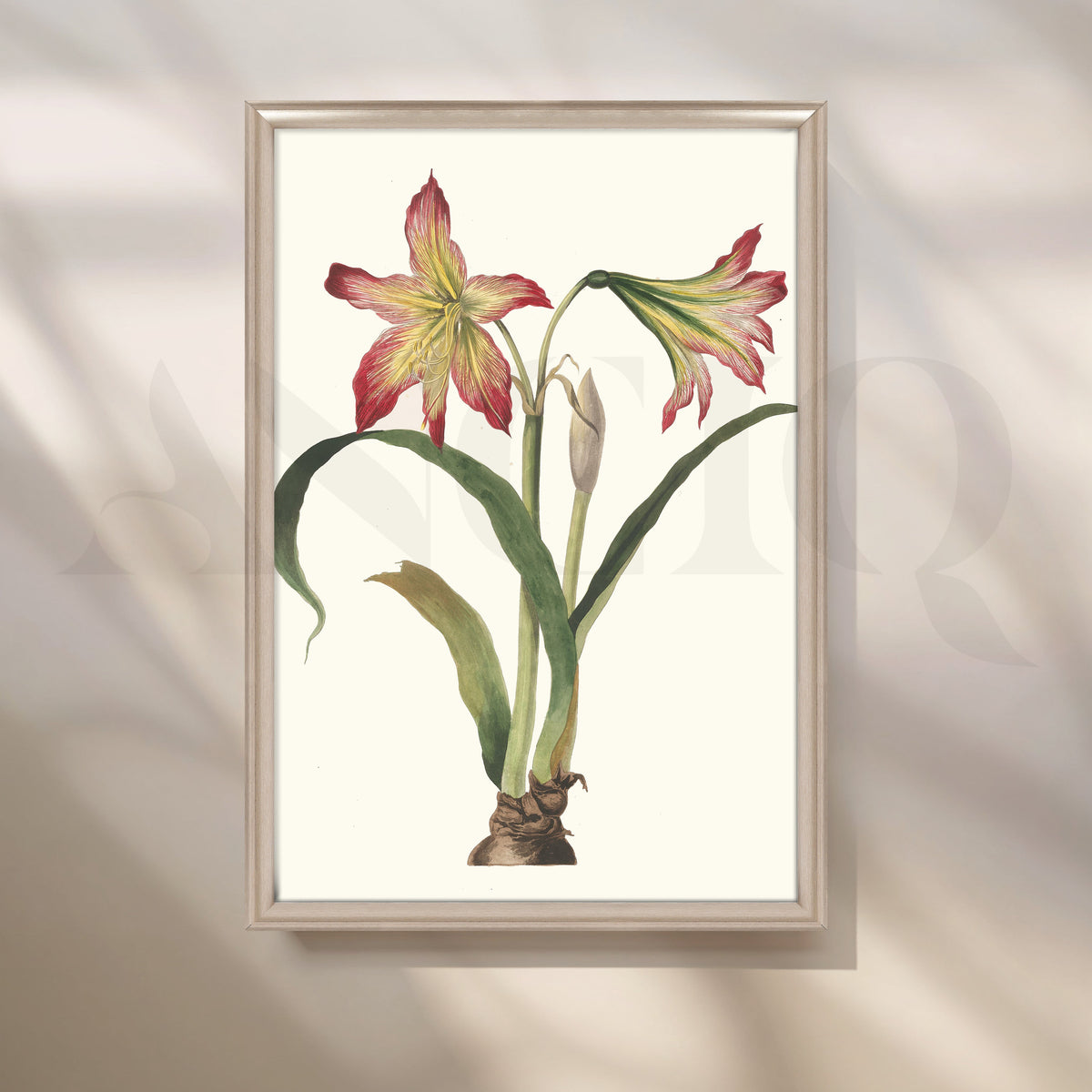 Amaryllis Botanica Canvas Artwork – Asha Art Studio – Image 4