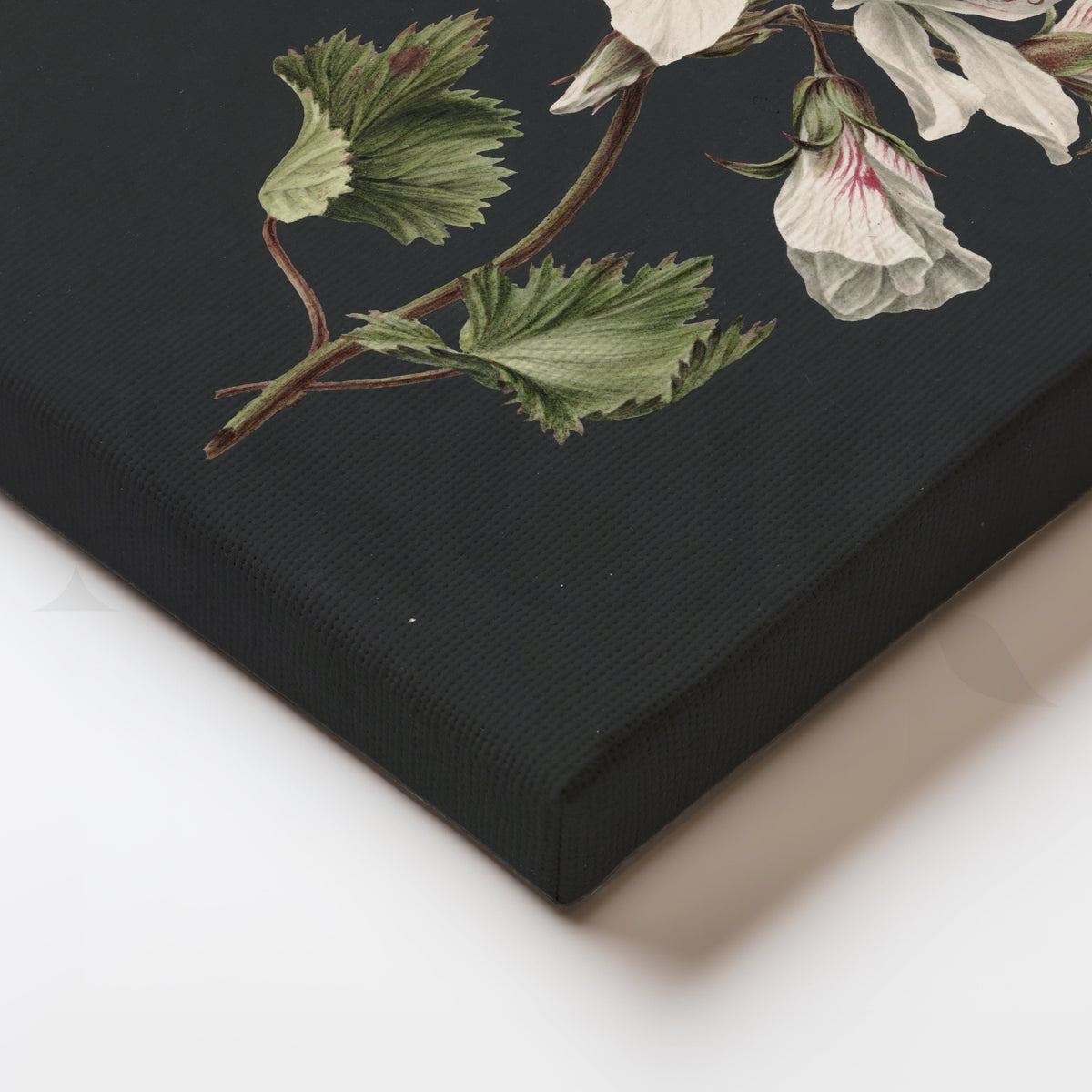 Vintage Gardenia Cluster Canvas Artwork – Asha Art Studio – Image 2