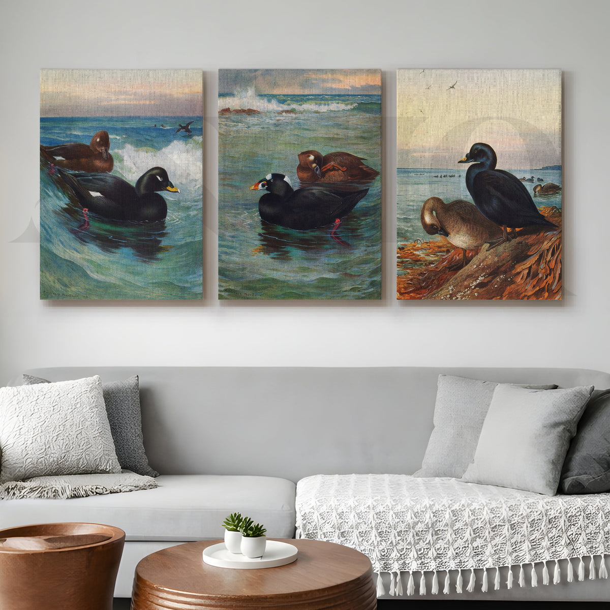Coastal Waterfowl Seascape Gallery Wall – Set of 3 Marine Artworks - 18 x 24 Inches – Asha Art Studio