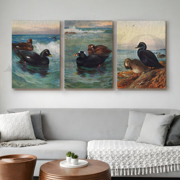 Coastal Waterfowl Seascape Gallery Wall – Set of 3 Marine Artworks - 18 x 24 Inches – Asha Art Studio