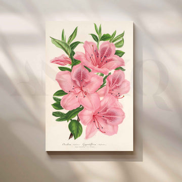 Soft Pink Azalea Botanical Canvas Artwork – Asha Art Studio