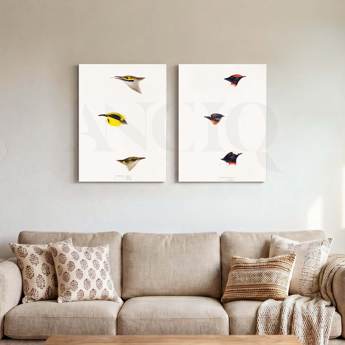 Minimal Bird Study Gallery Wall Set of 2 – Asha Art Studio
