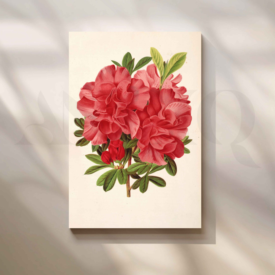 Vintage Red Floral Botanical Canvas Artwork – Asha Art Studio