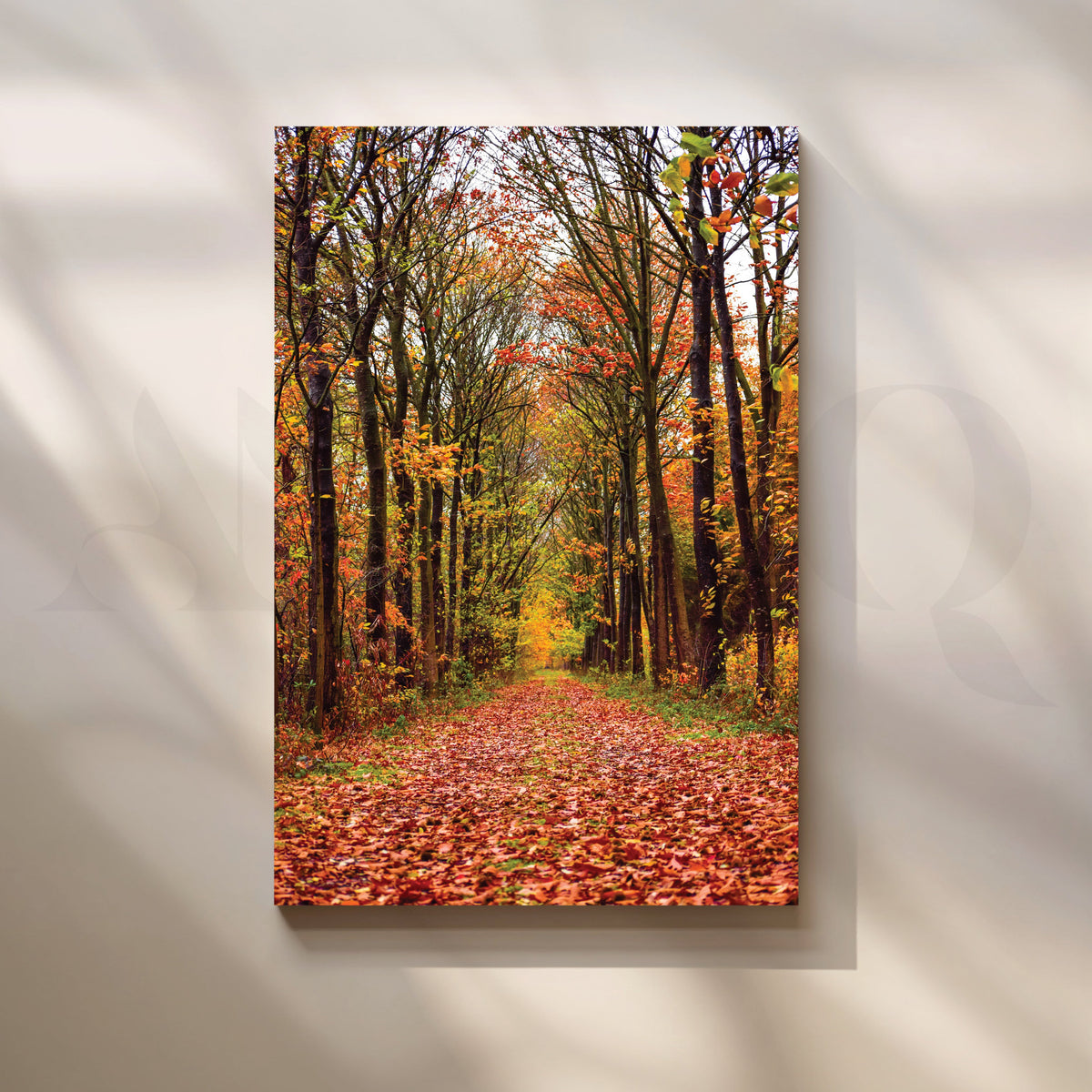 Forest Path in Sunlight Canvas Artwork – Asha Art Studio