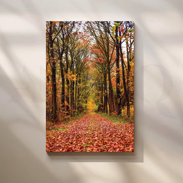 Forest Path in Sunlight Canvas Artwork – Asha Art Studio