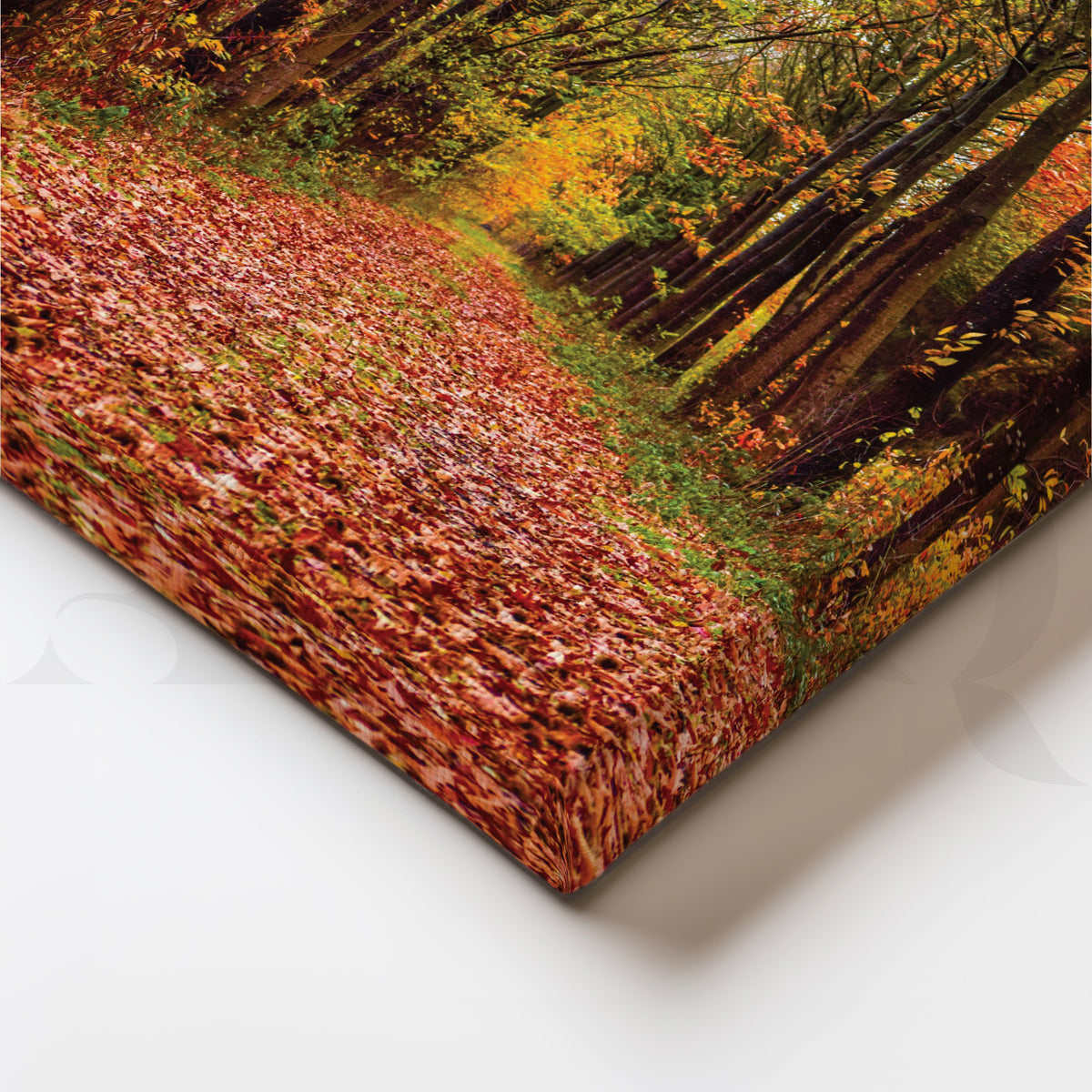 Forest Path in Sunlight Canvas Artwork – Asha Art Studio – Image 2