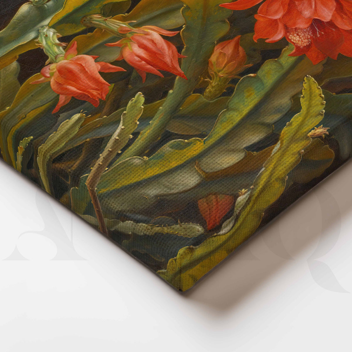 Vintage Red Cactus Bloom Canvas Artwork – Asha Art Studio – Image 2
