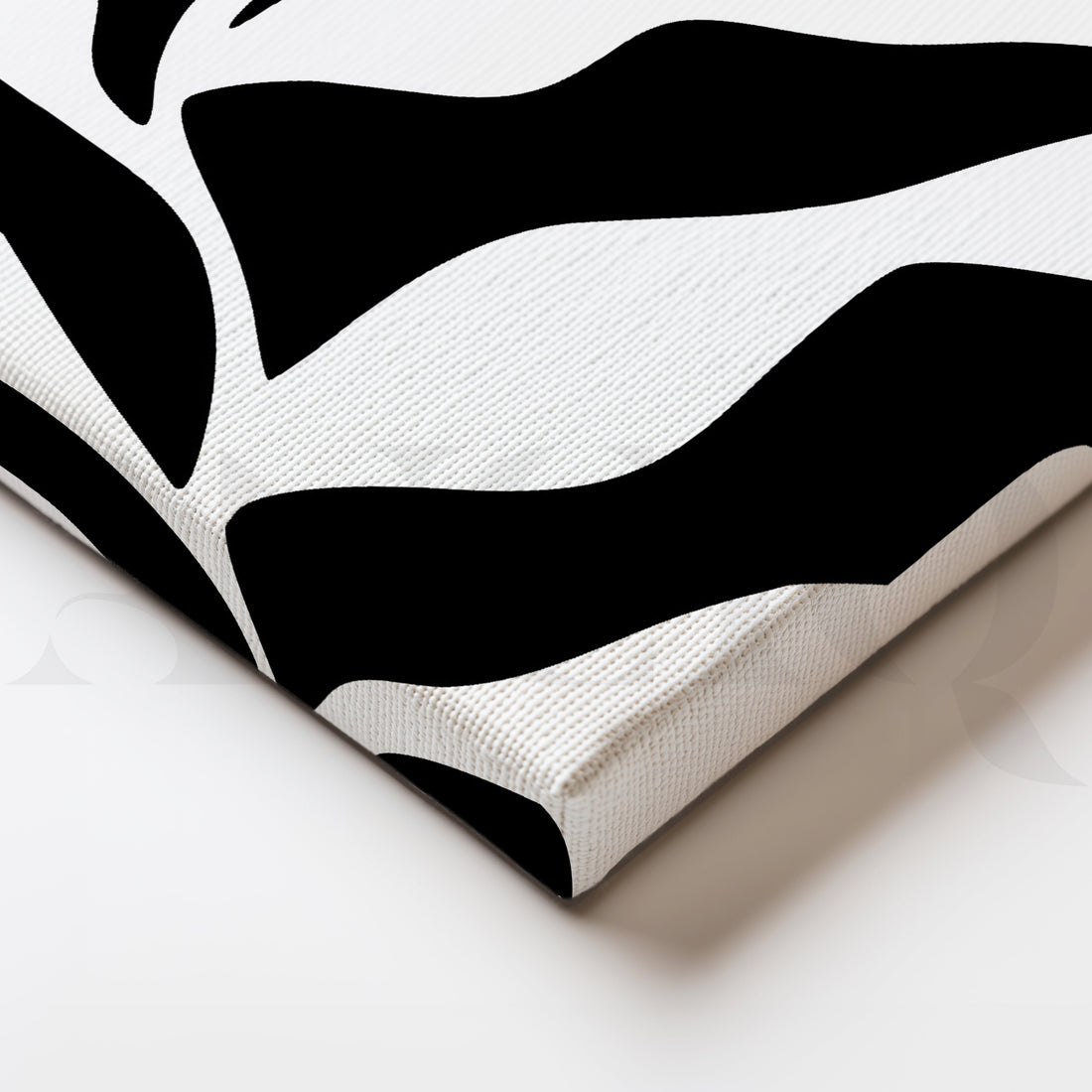 Monochrome Organic Patterns in Fluid Black and White Design – Asha Art Studio