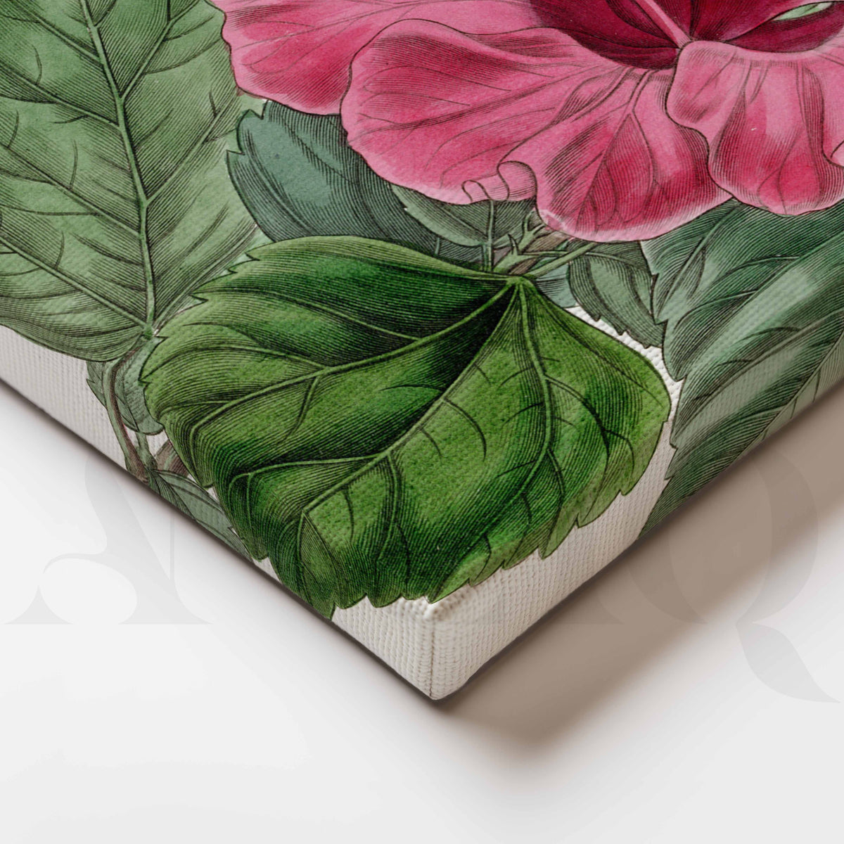 Vintage Pink Hibiscus Botanical Canvas Artwork – Asha Art Studio – Image 2