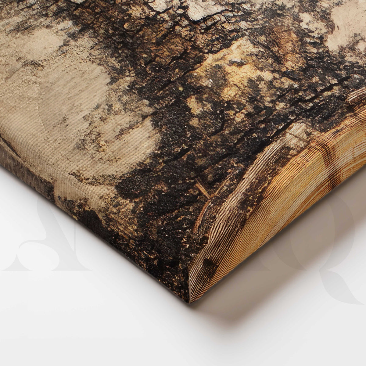 Tree Ring Gallery Wall Set of 3 - 18 x 24 Inches – Asha Art Studio – Image 2