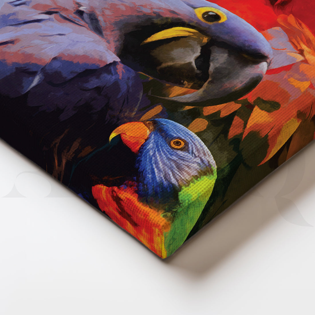 Colorful Parrots Canvas Artwork – Asha Art Studio