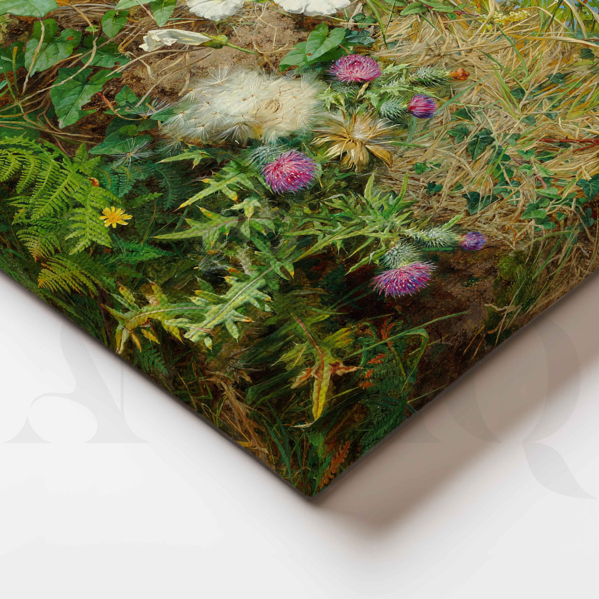 Wild Meadow Botanical Canvas Artwork – Asha Art Studio – Image 2