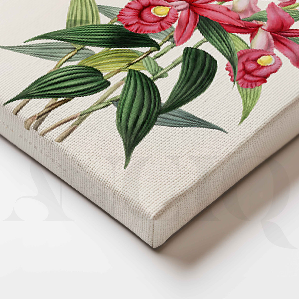 Pink Orchid Botanical Gallery Wall Artwork Set of 2 – Asha Art Studio – Image 2