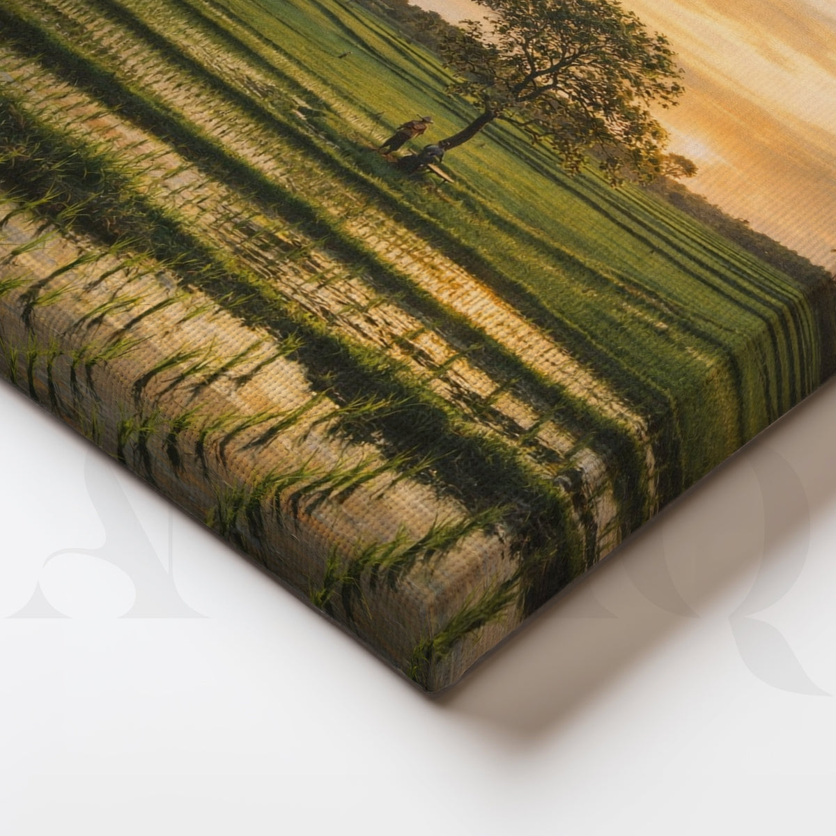 Golden Paddy Field Sunset Canvas Artwork – Asha Art Studio – Image 2