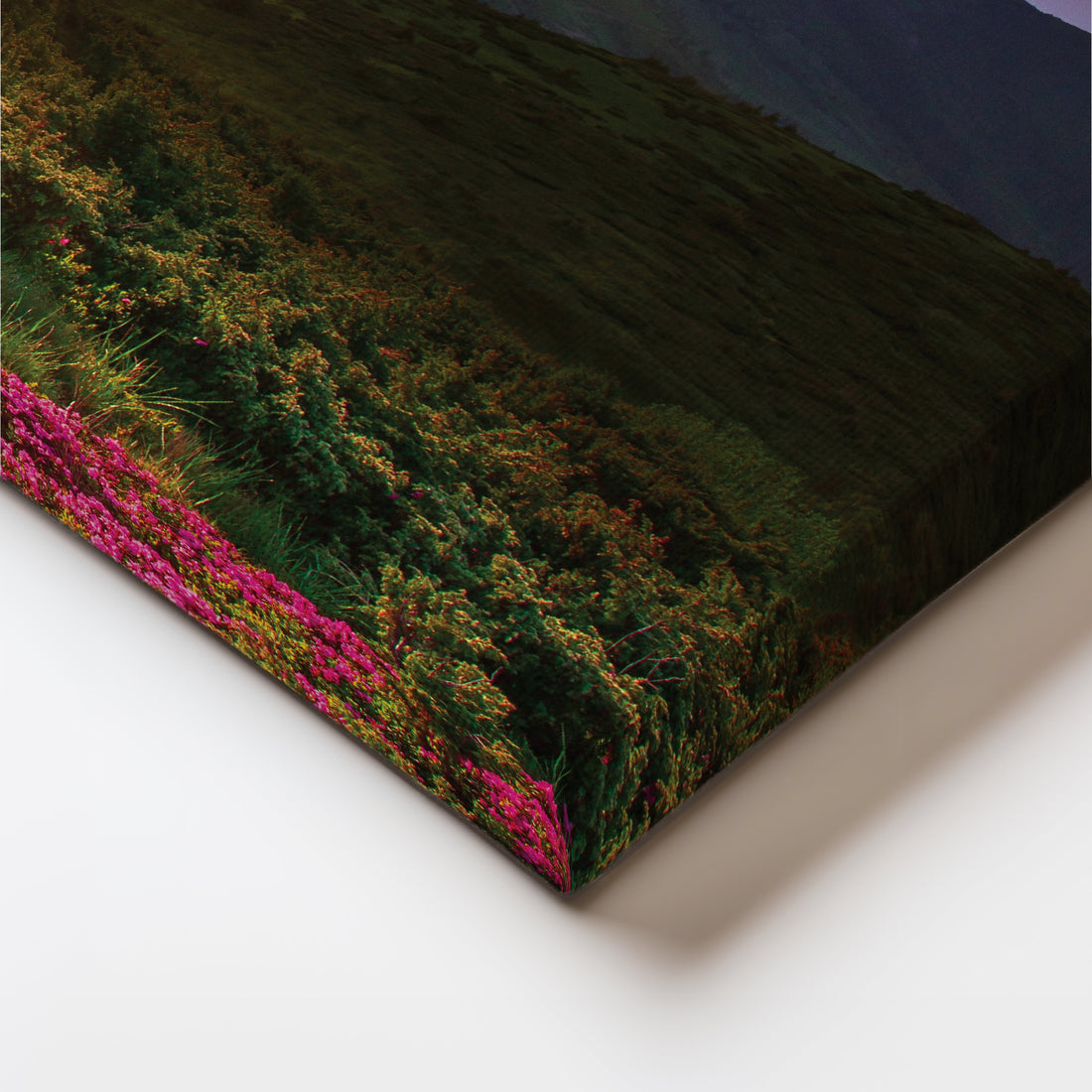 Morning Bliss Canvas Artwork – Asha Art Studio