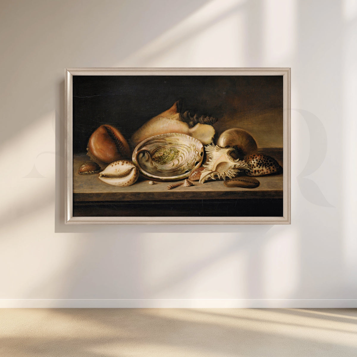 Vintage Seashell Still Life Canvas – Asha Art Studio – Image 4