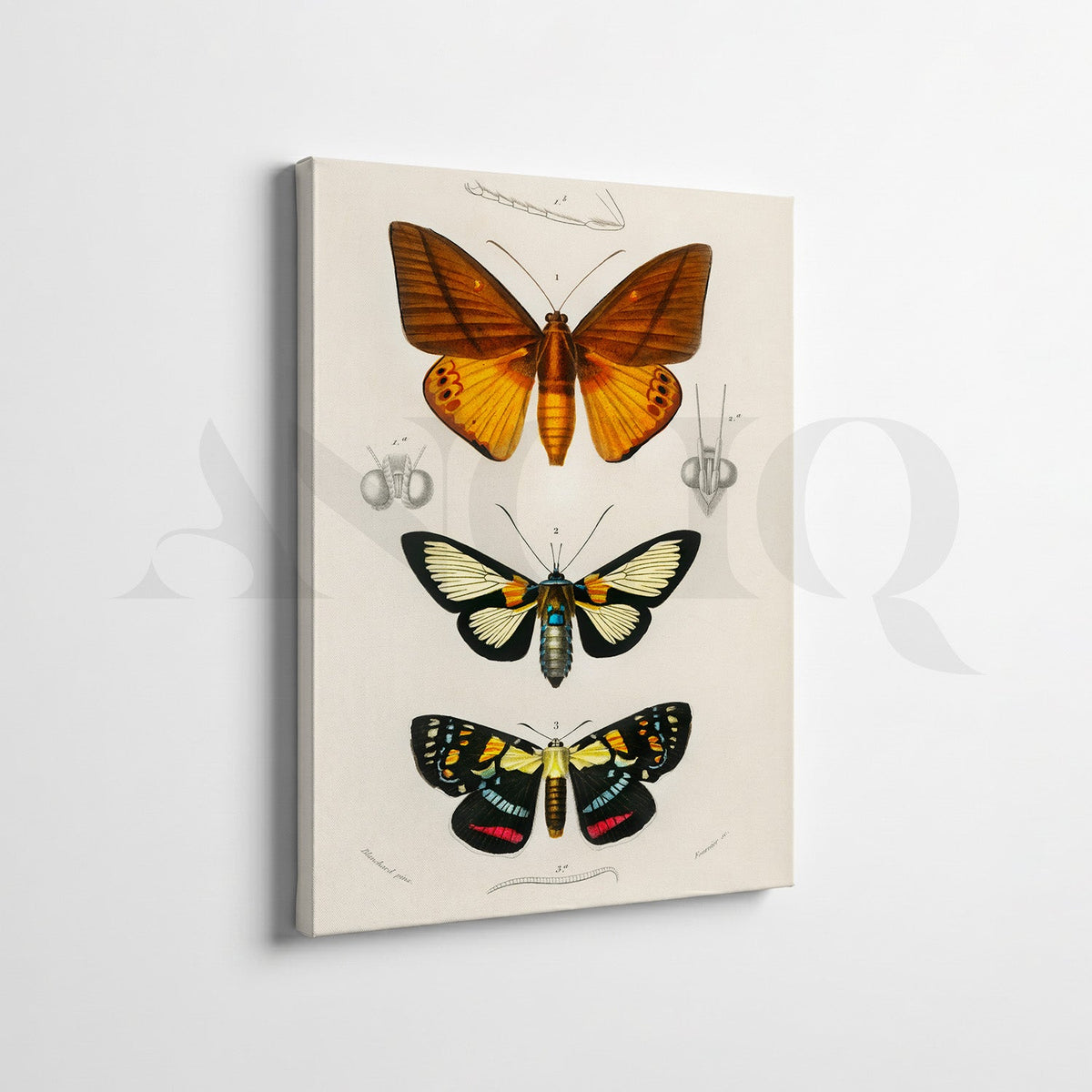 Vintage Wildlife & Botanical Gallery Wall Canvas Artwork Set of 7 – Asha Art Studio – Image 7