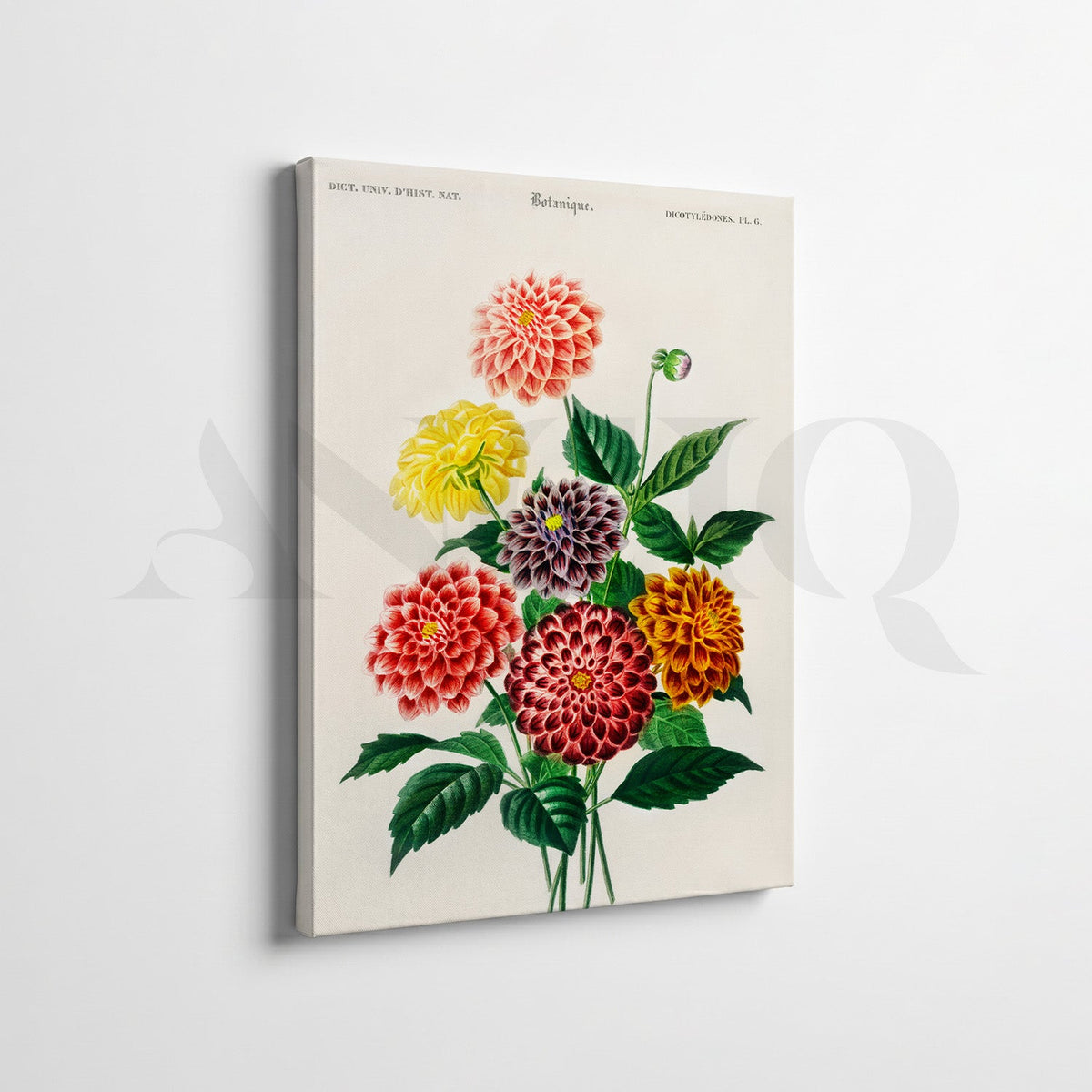 Vintage Wildlife & Botanical Gallery Wall Canvas Artwork Set of 7 – Asha Art Studio – Image 6