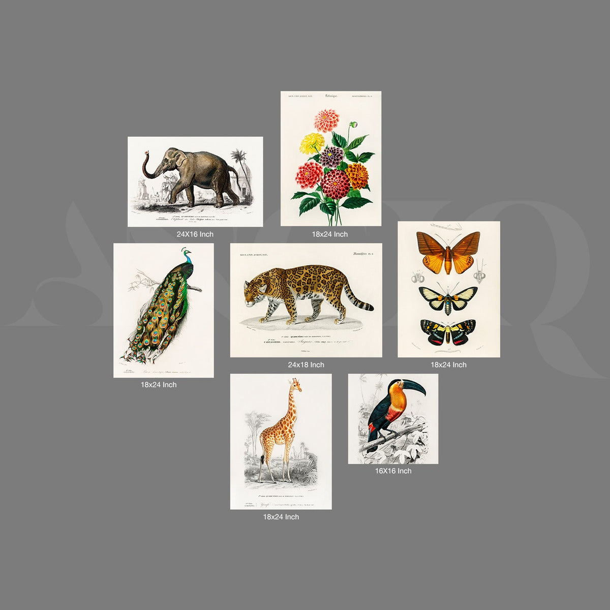 Vintage Wildlife & Botanical Gallery Wall Canvas Artwork Set of 7 – Asha Art Studio – Image 9