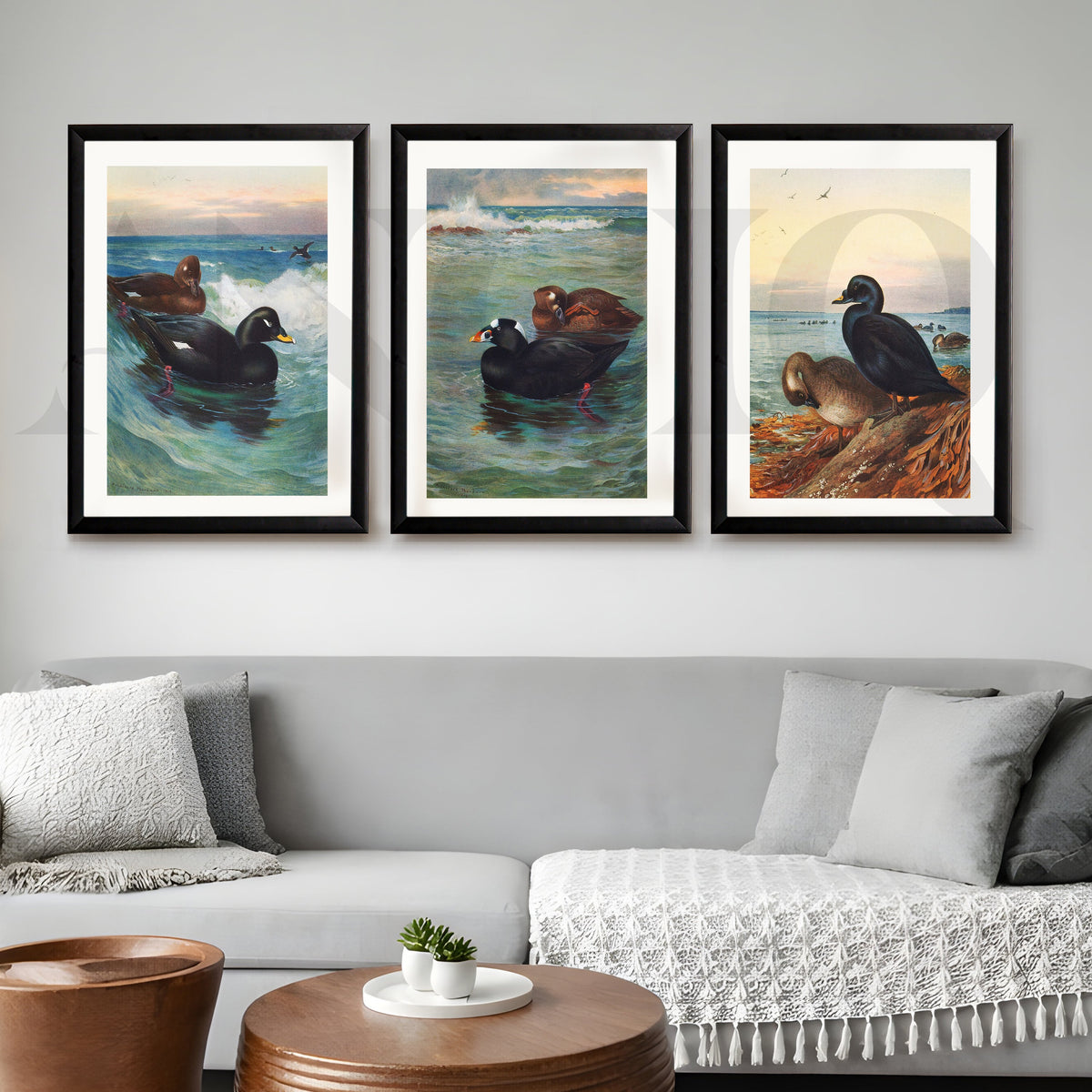 Coastal Waterfowl Seascape Gallery Wall – Set of 3 Marine Artworks - 18 x 24 Inches – Asha Art Studio – Image 3