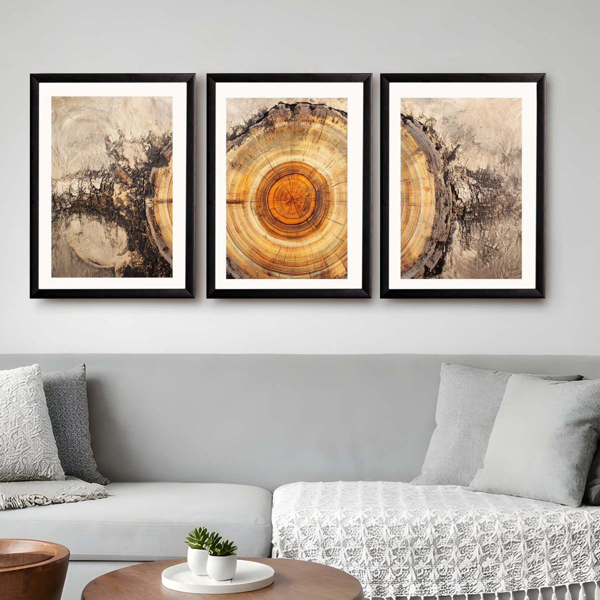 Tree Ring Gallery Wall Set of 3 - 18 x 24 Inches – Asha Art Studio – Image 7