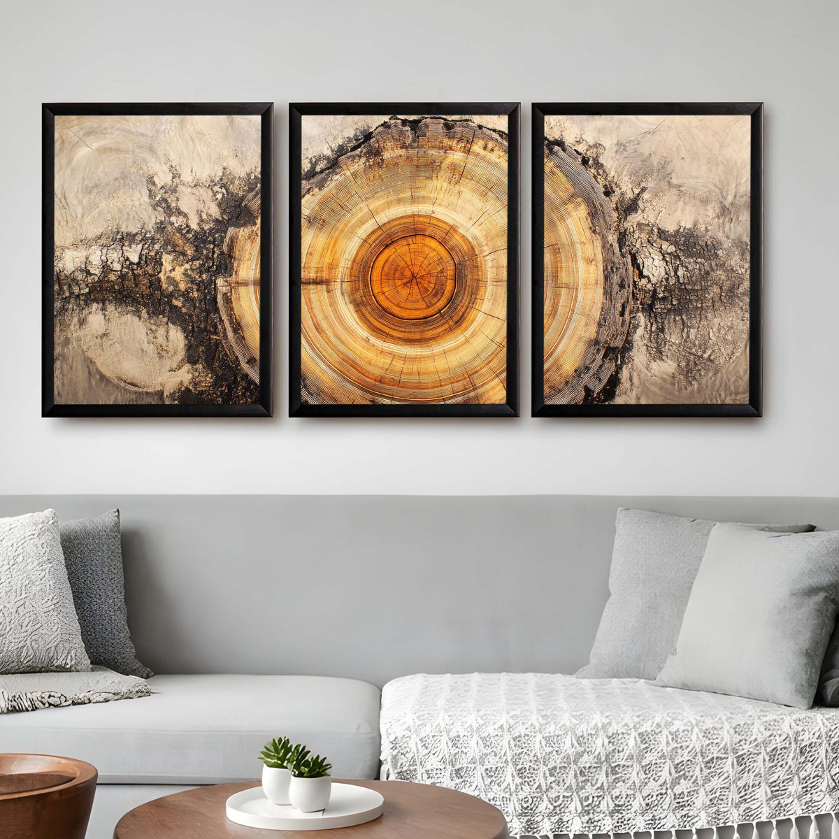 Tree Ring Gallery Wall Set of 3 - 18 x 24 Inches – Asha Art Studio – Image 3