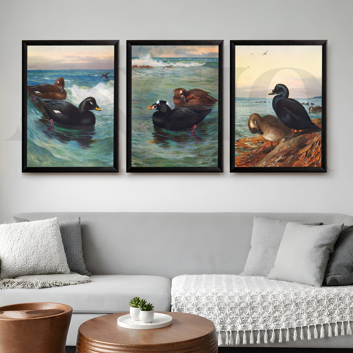 Coastal Waterfowl Seascape Gallery Wall – Set of 3 Marine Artworks - 18 x 24 Inches – Asha Art Studio – Image 7