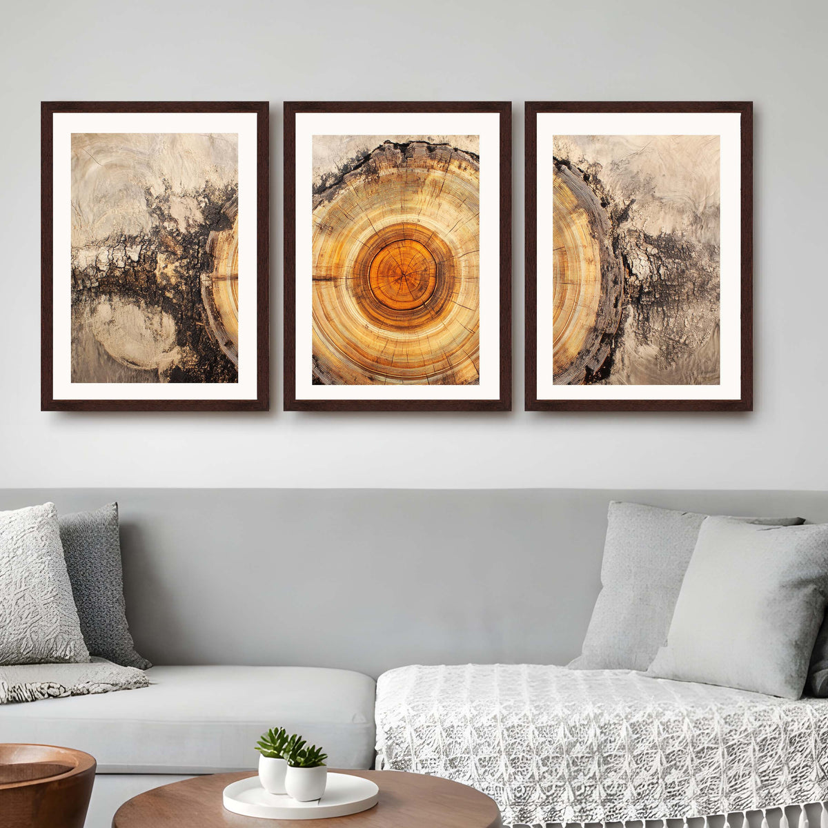 Tree Ring Gallery Wall Set of 3 - 18 x 24 Inches – Asha Art Studio – Image 10