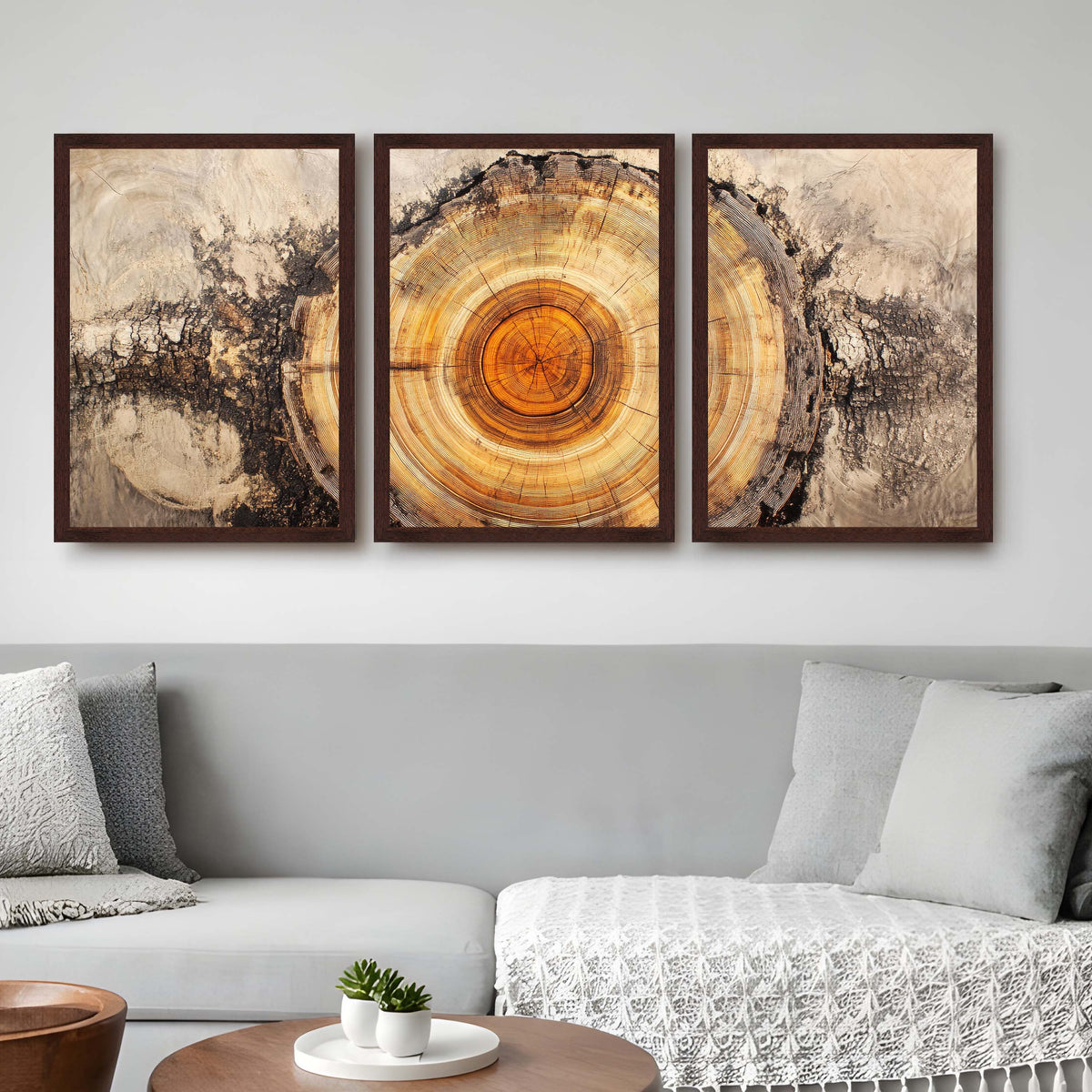 Tree Ring Gallery Wall Set of 3 - 18 x 24 Inches – Asha Art Studio – Image 6