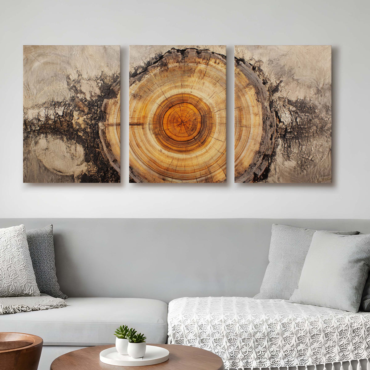 Tree Ring Gallery Wall Set of 3 - 18 x 24 Inches – Asha Art Studio