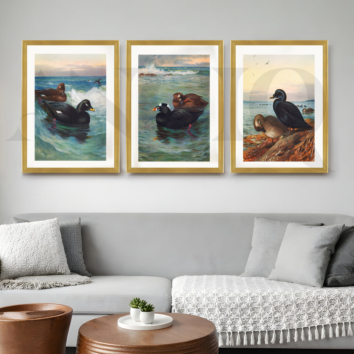 Coastal Waterfowl Seascape Gallery Wall – Set of 3 Marine Artworks - 18 x 24 Inches – Asha Art Studio – Image 4
