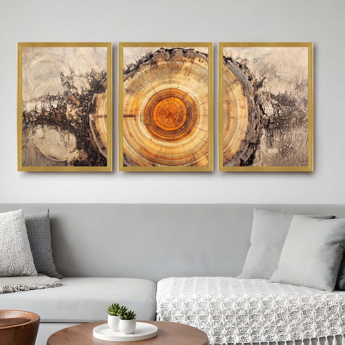 Tree Ring Gallery Wall Set of 3 - 18 x 24 Inches – Asha Art Studio – Image 4