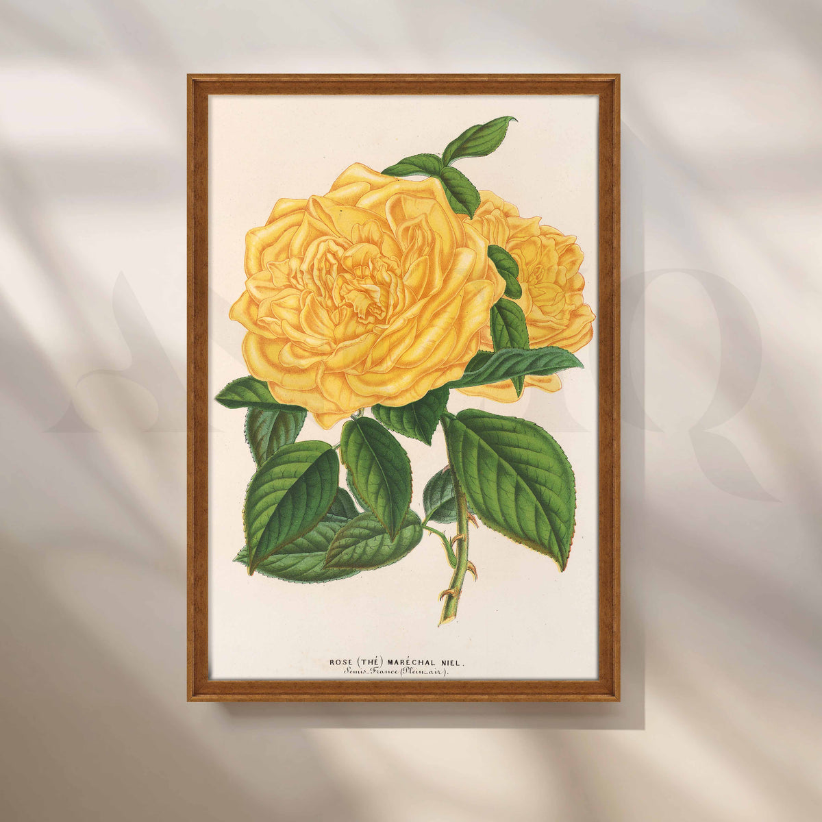 Vintage Yellow Rose Botanical Canvas Artwork – Asha Art Studio – Image 6