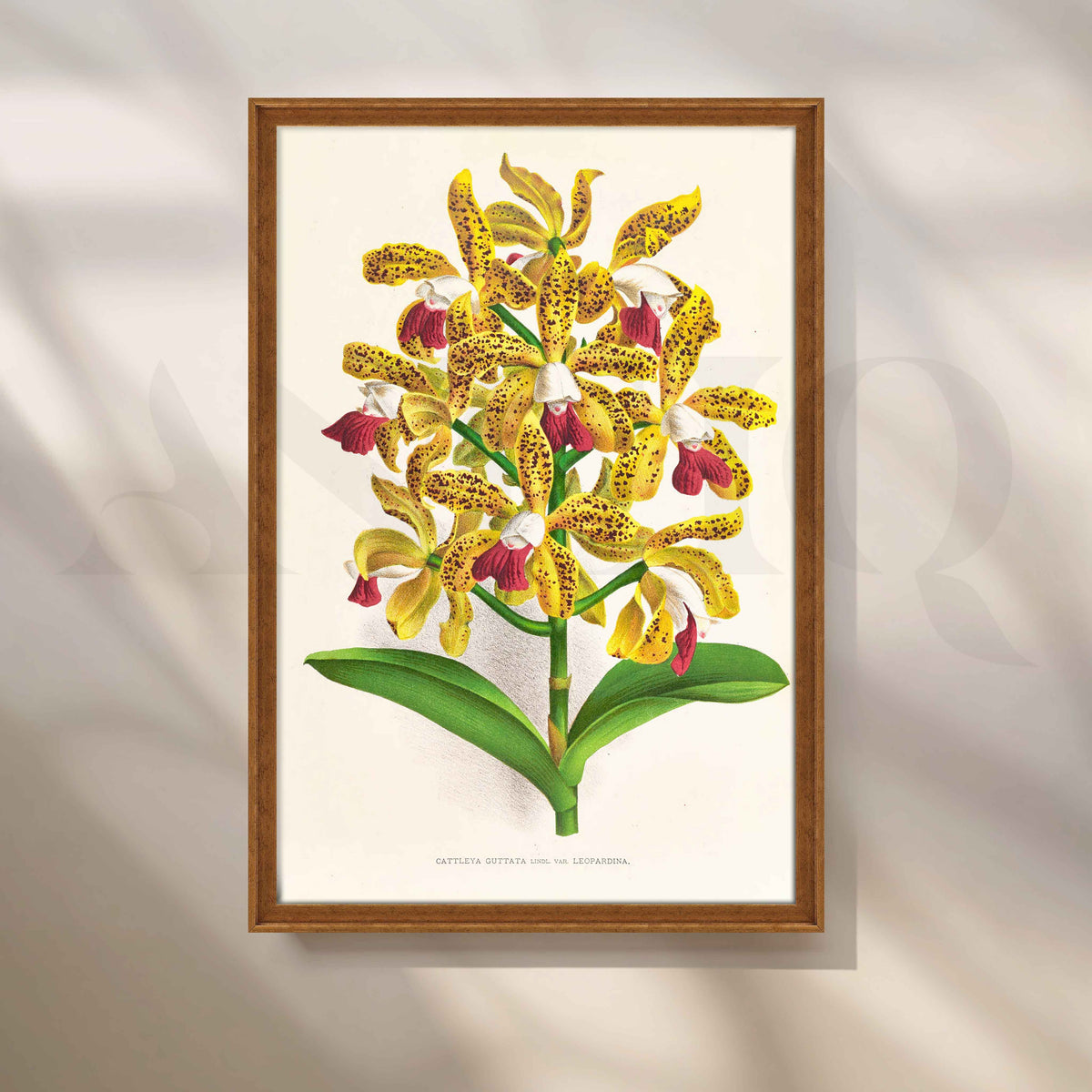 Vintage Yellow Orchid Botanical Canvas Artwork – Asha Art Studio – Image 6