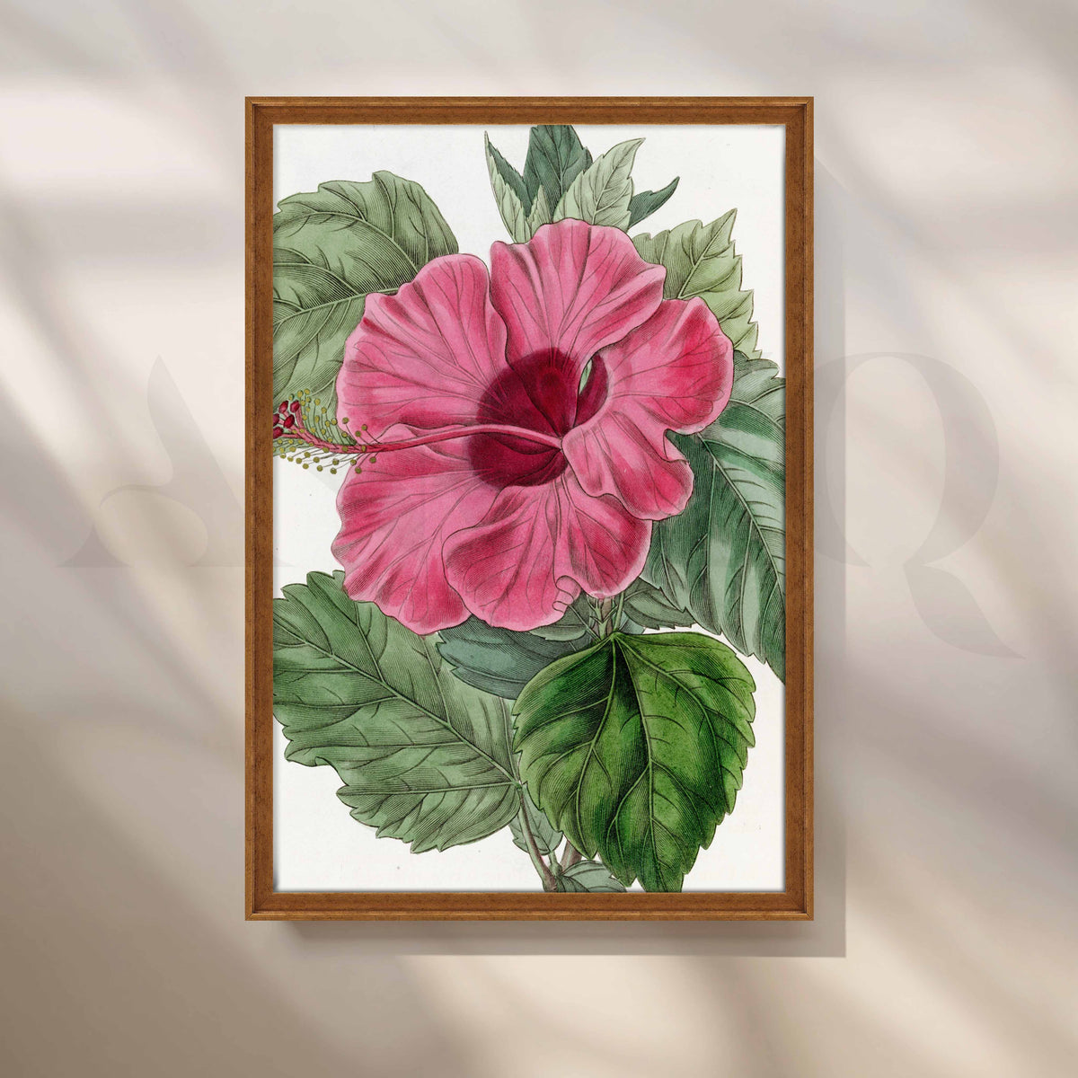 Vintage Pink Hibiscus Botanical Canvas Artwork – Asha Art Studio – Image 6