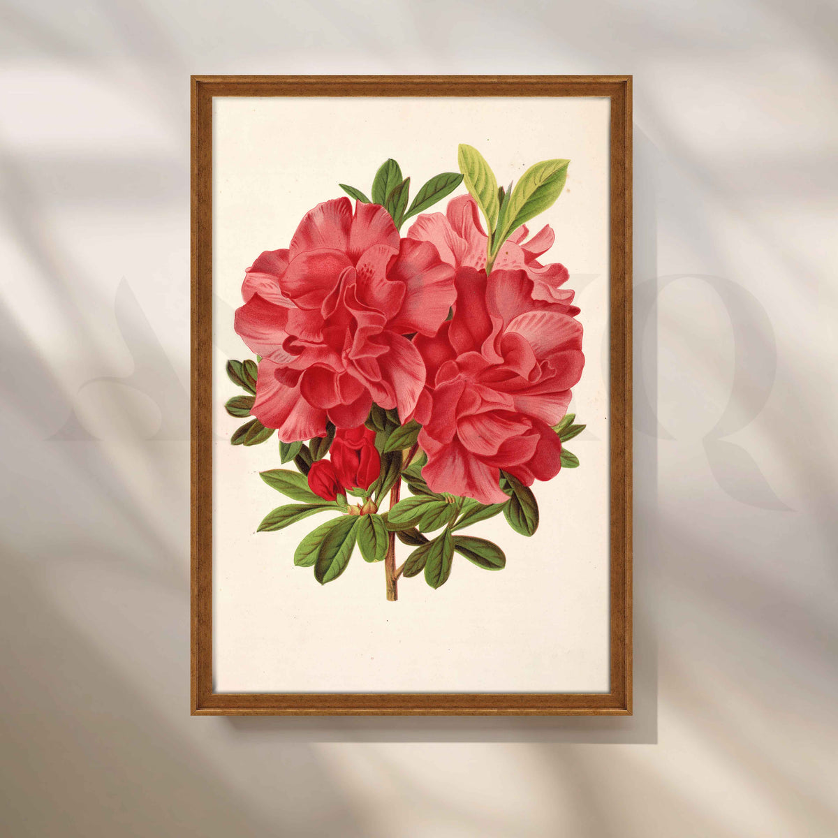 Vintage Red Floral Botanical Canvas Artwork – Asha Art Studio – Image 6
