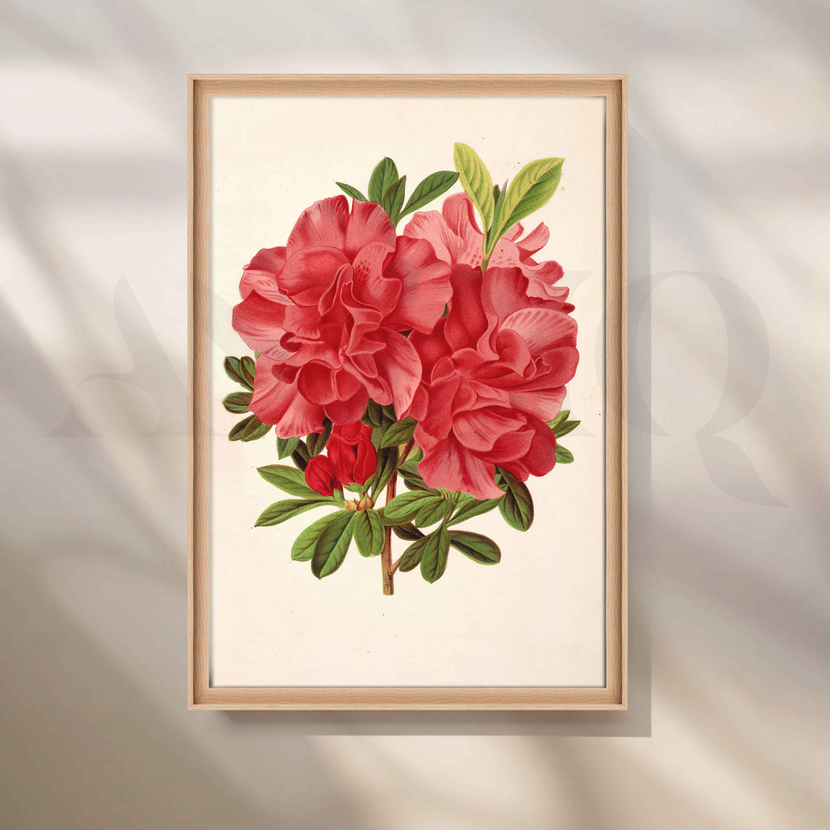Vintage Red Floral Botanical Canvas Artwork – Asha Art Studio – Image 5