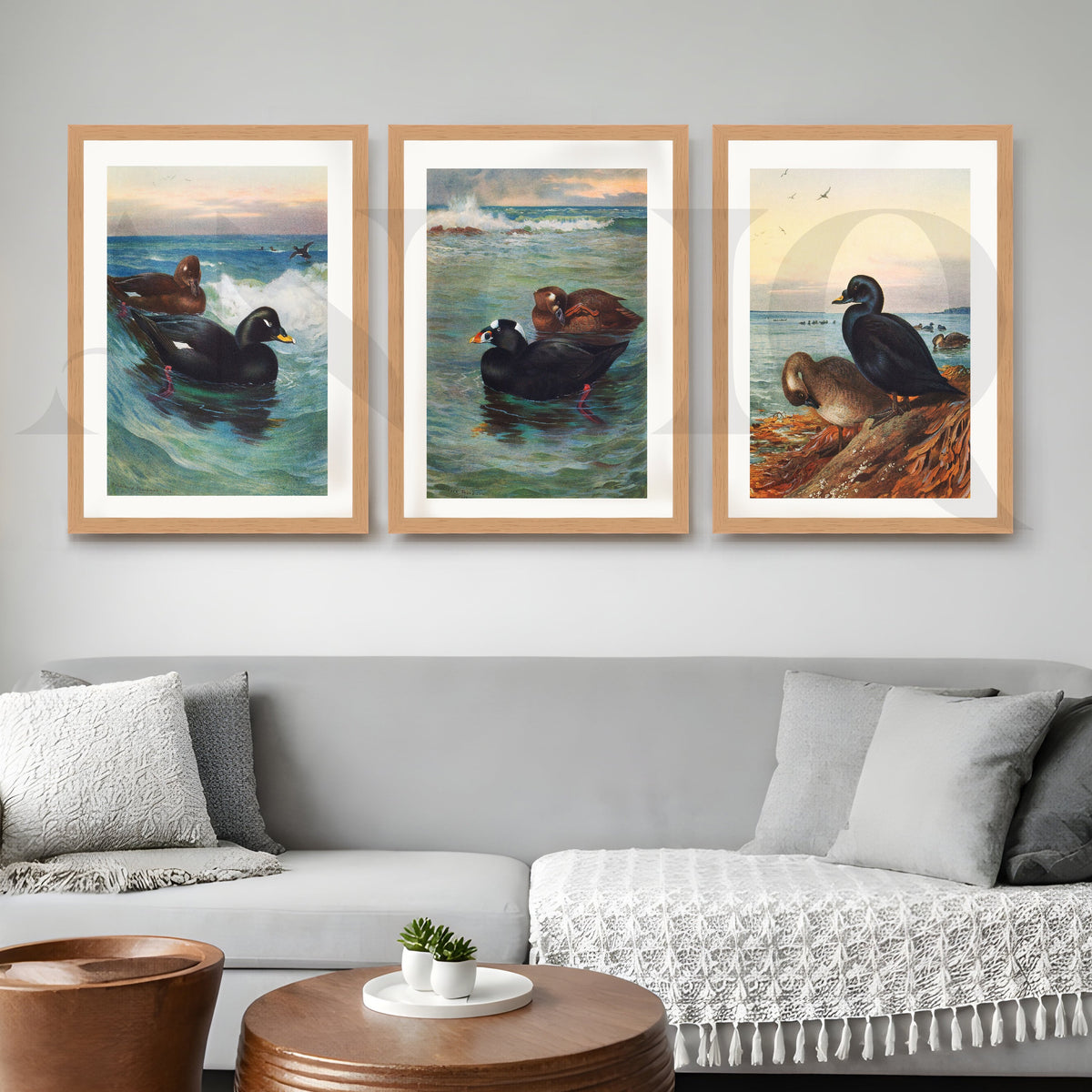 Coastal Waterfowl Seascape Gallery Wall – Set of 3 Marine Artworks - 18 x 24 Inches – Asha Art Studio – Image 5