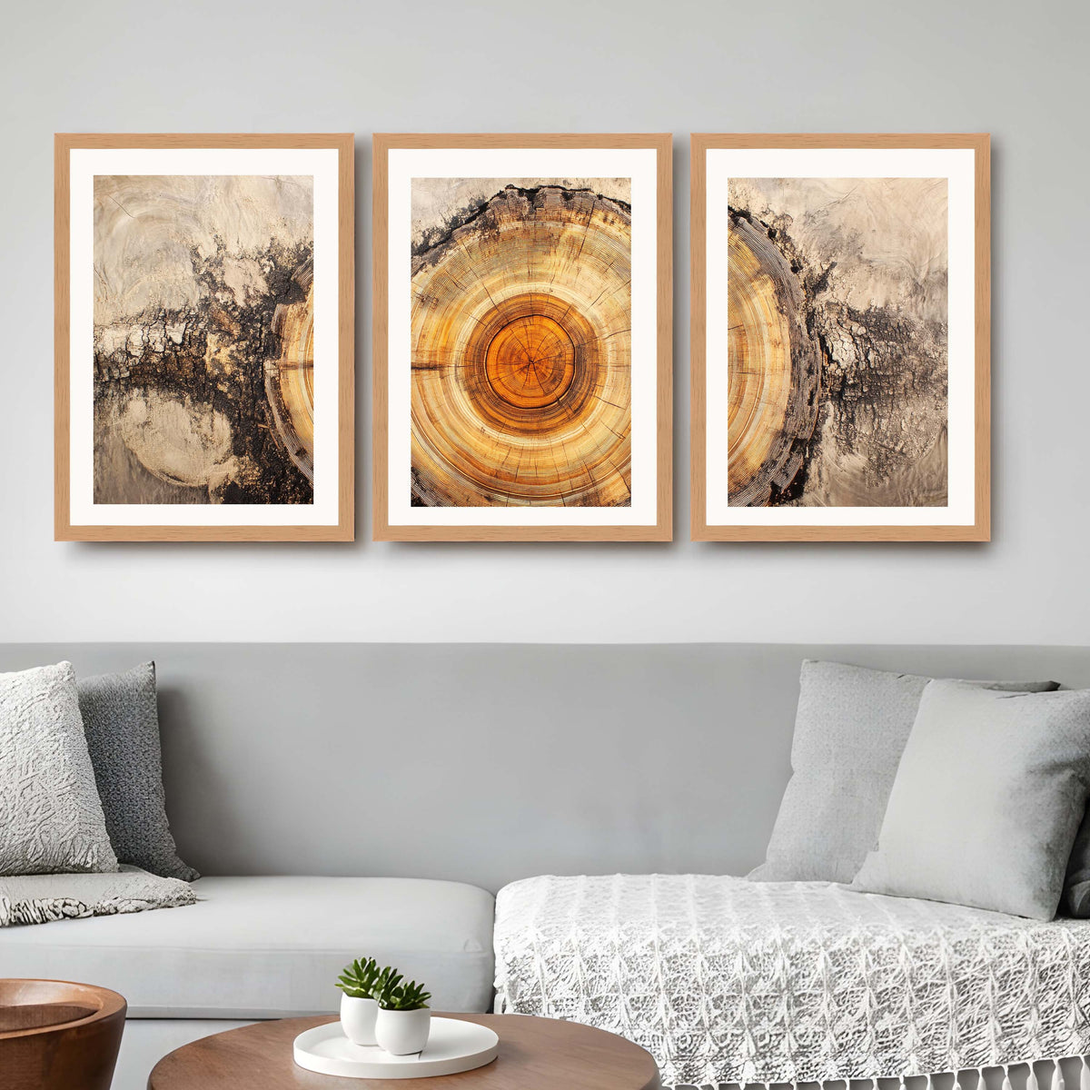 Tree Ring Gallery Wall Set of 3 - 18 x 24 Inches – Asha Art Studio – Image 9