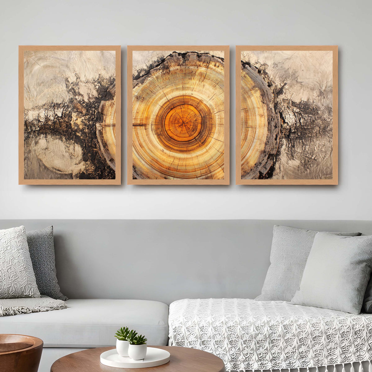 Tree Ring Gallery Wall Set of 3 - 18 x 24 Inches – Asha Art Studio – Image 5