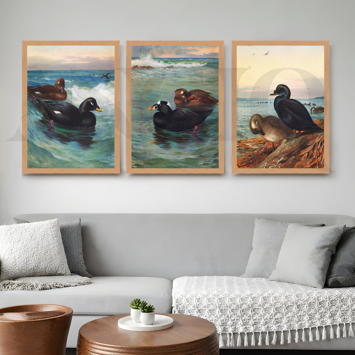Coastal Waterfowl Seascape Gallery Wall – Set of 3 Marine Artworks - 18 x 24 Inches – Asha Art Studio – Image 9