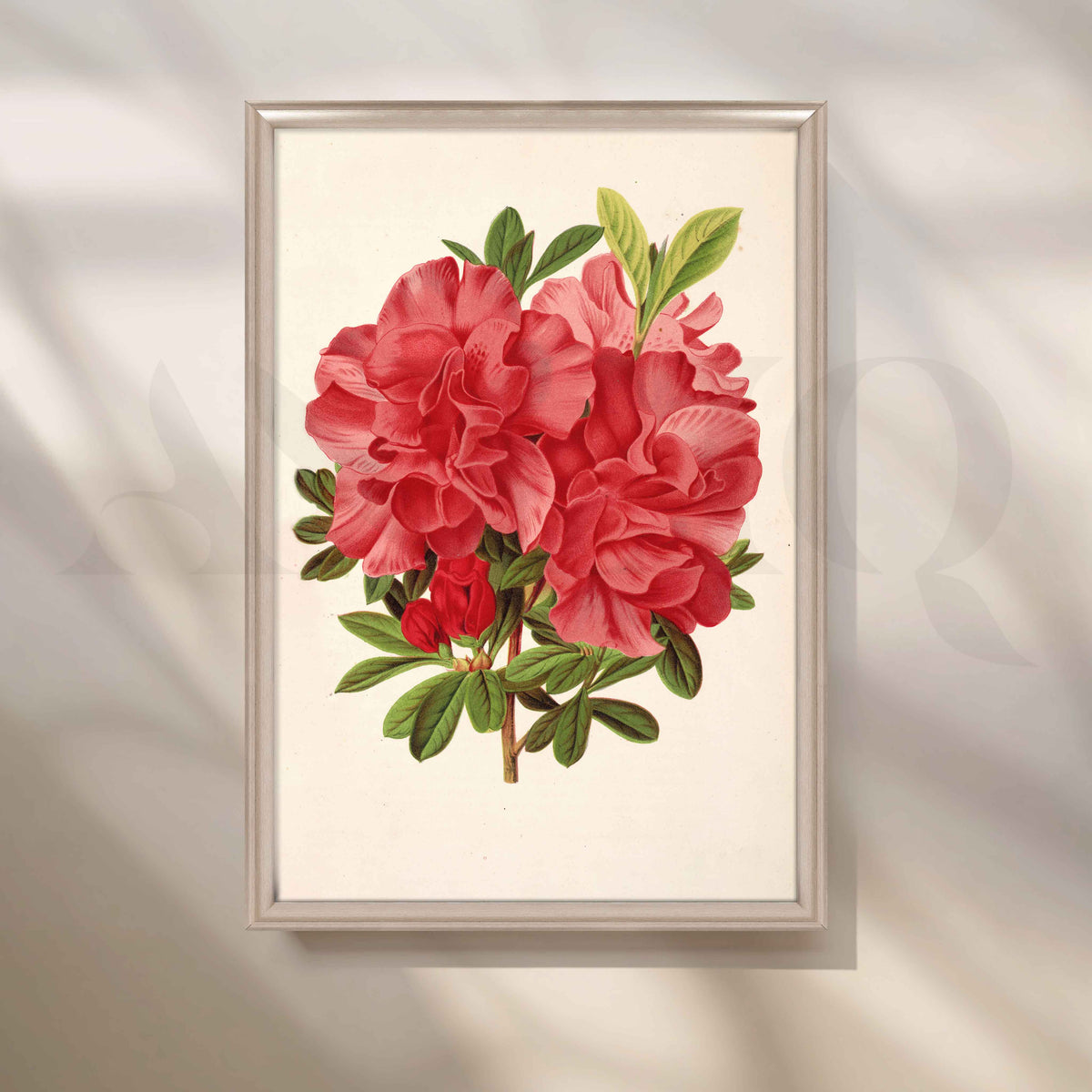 Vintage Red Floral Botanical Canvas Artwork – Asha Art Studio – Image 4