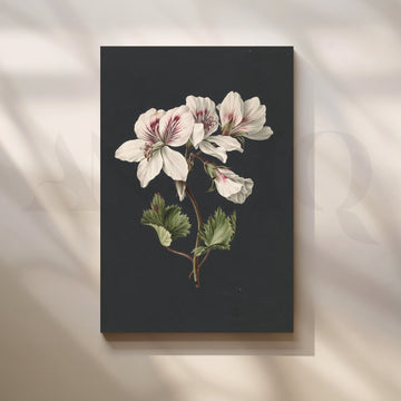 Vintage Gardenia Cluster Canvas Artwork – Asha Art Studio