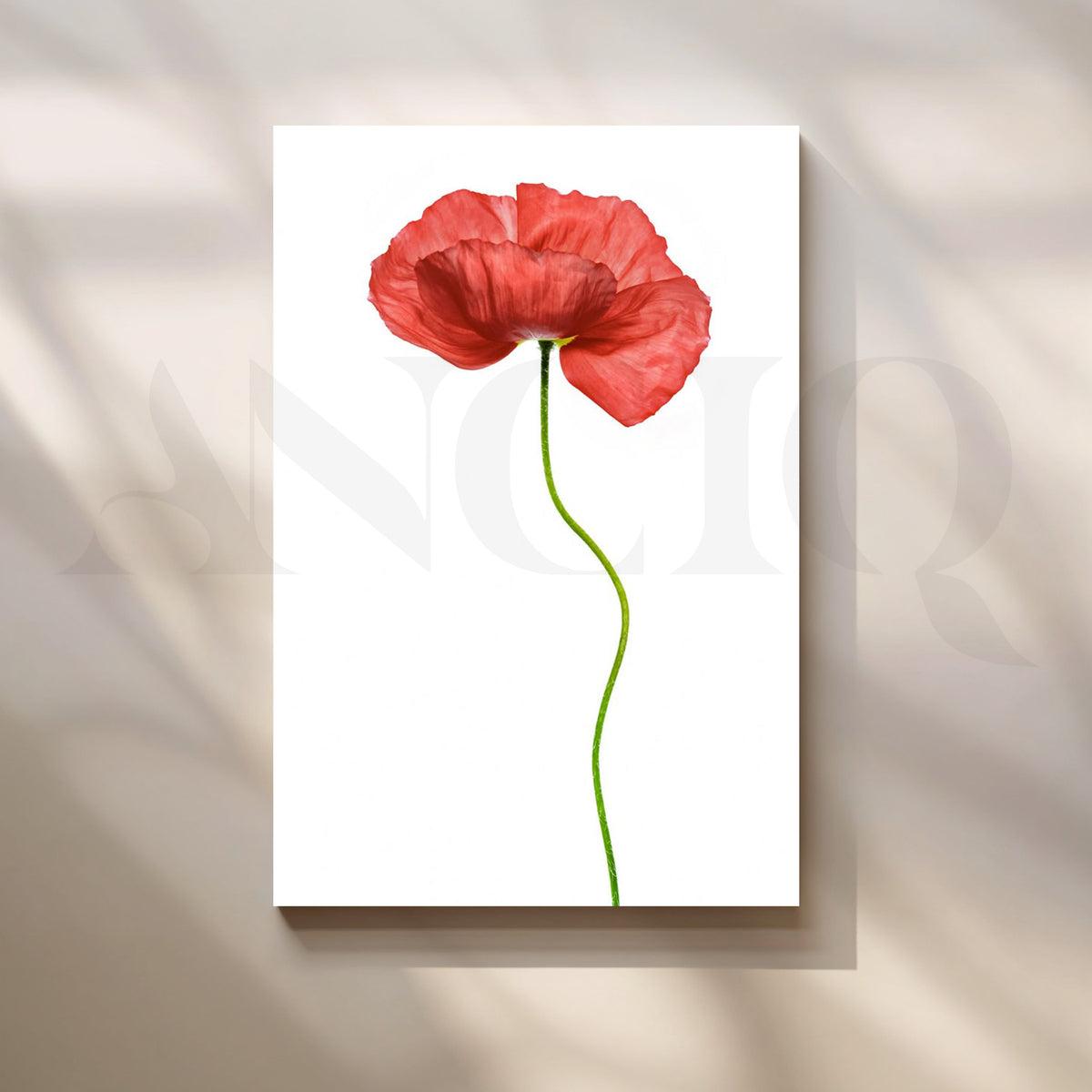 Scarlet Whisper Canvas Artwork – Asha Art Studio