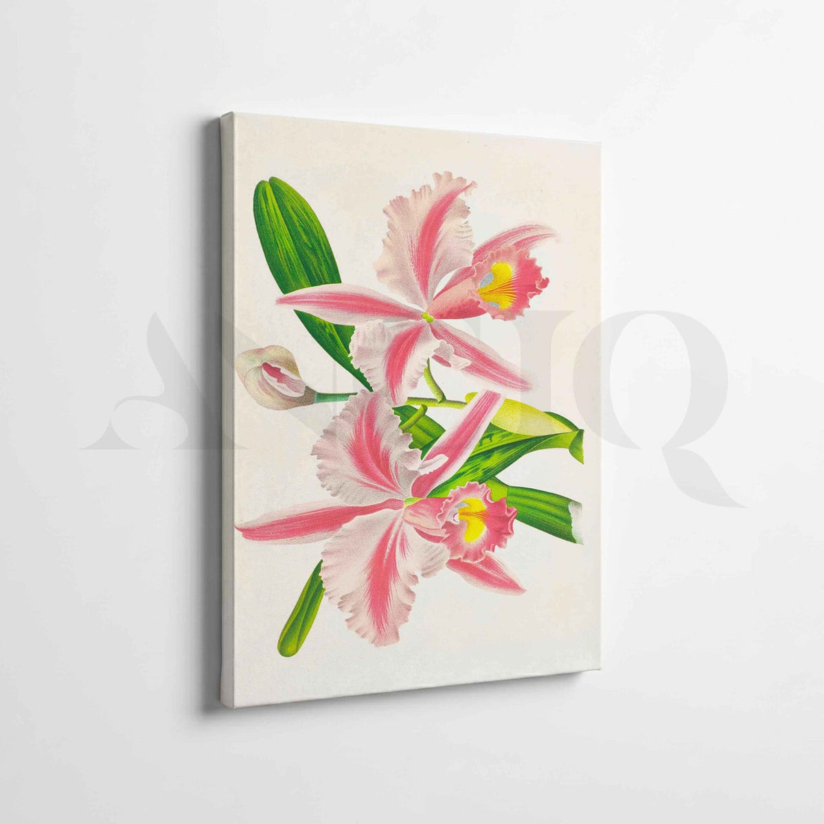 Pink Orchid Botanical Gallery Wall Artwork Set of 2 – Asha Art Studio – Image 4