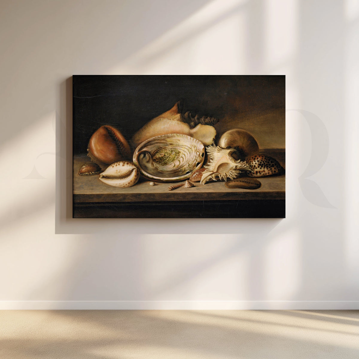 Vintage Seashell Still Life Canvas – Asha Art Studio